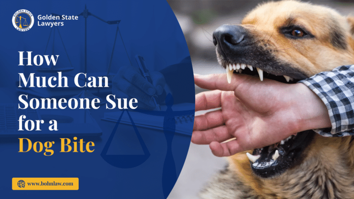 How Much Can Someone Sue for a Dog Bite